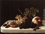 Grapes Acorns and Apricots on a Marble Ledge